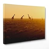 Dimensioni: 30x40cm - Spessore Quadro 2cm