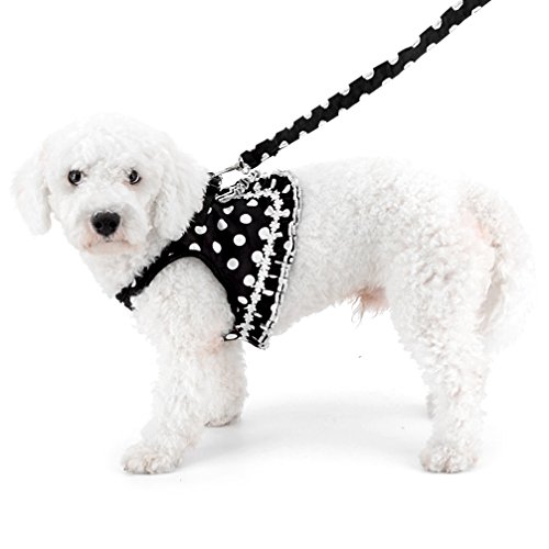 Smalllee_Lucky_Store No Pull Polka Dot Small Dog Puppy Cat Harness With Crown, Soft Mesh Padded Vest Harness And Leash Set For Girls,Black S #TOP1