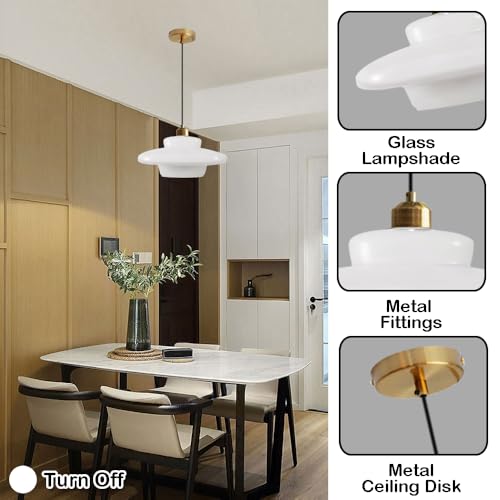 Lámpara de techo para dormitorio o balcón con diseño de araña creativa 7