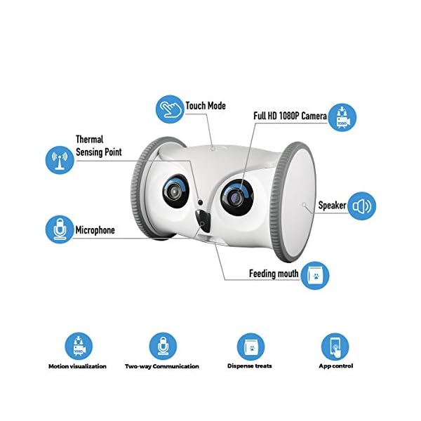 Interactive Toy for Dogs