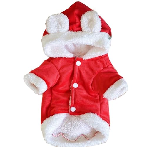 ISUPY 킢  R[g H~ ybg WPbg {A t[ht hbOEFA h g ^ NX}X }g  m L іh~ oUp (M,R[g)