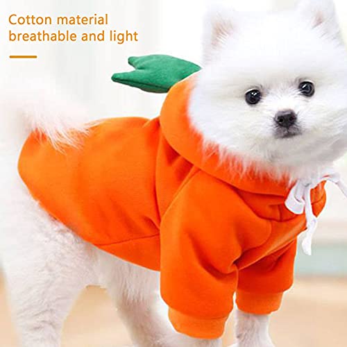 Daseey Roupas para cachorros com capuz para cachorros Roupas quentes para cachorros Projeto com cord