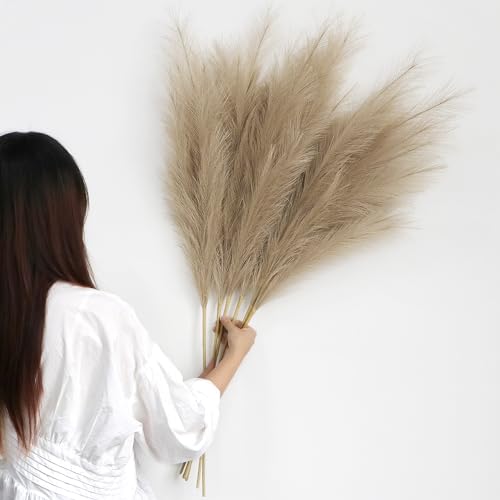 6 Pcs Pampas Secas Decoracion Grandes 113 Cm Blanquecino Hierba