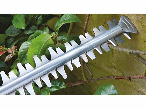 Bosch Taille haie 65 cm - vue 6