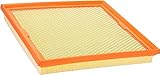 ECOGARD XA11968 Premium Engine Air Filter Fits 2021-2025 Ford E-450 Super Duty, E-350 Super Duty, 2021-2022 Coach House Platinum, 2021-2023 Coachmen Cross Trail XL, 2021 Cross Trek