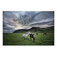 Quadro Tela Moderna Balena All'alba - Stampa Acquarello 61x91cm Per Decorazione Parete Senza Cornice - Foto 7