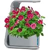 AeroGarden Sprout with Gourmet Herb Seed Pod Kit - Indoor Garden with LED Grow Light, Cool Gray
