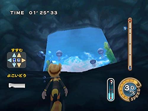 Family Trainer Treasure Adventures Wii - vue 5