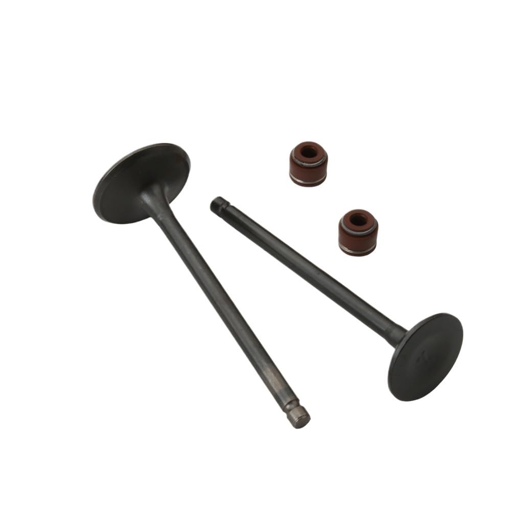 Valvole di aspirazione e scarico 2 pezzi compatibili con Agility125 Like125 Movie XL 125 People125 Sostituisce 14711-KUDU-900 14721-KUDU-900