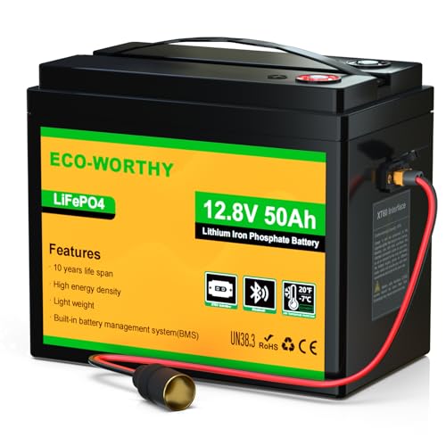 ECO-WORTHY 12V 50Ah LiFePO4 Lithium Battery with Bluetooth & Low Temp Protection