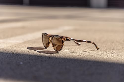 Suncloud - Lowkey Sunglasses4