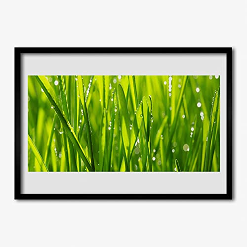 Affiche encadrée 70x50 cm nature Tulup avec cadre en MDF pour decoration murale salon