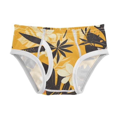 KLL Monarch Butterfly Toddler Boy Comfort Briefs Underwear Breathable Undies