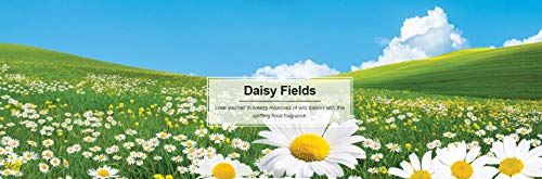 Image of LITTLE TREES 076171673473 Daisy Fields Hanging Paper Tree for Home or Car, 6 Pack
