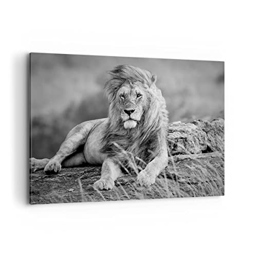 ARTTOR Impression sur toile - Image sur Toile - Un élément - lion animal nature - 100x70cm - Decoration murale - Décoration - Encadrée - Tableau Mural - Tableaux pour la mur - Moderne - AA100x70-3931