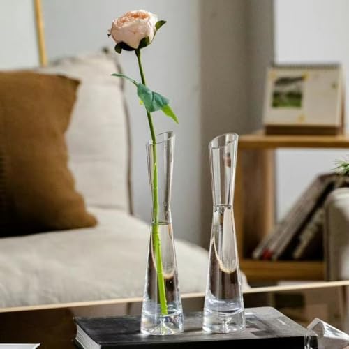 Hrzisda ԕr Ȃ ֑}  t[x[X |J[{l[g  ͔| CeA v[g