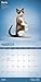 Yoga Cats 2020 Calendar (English, Spanish and French Edition)