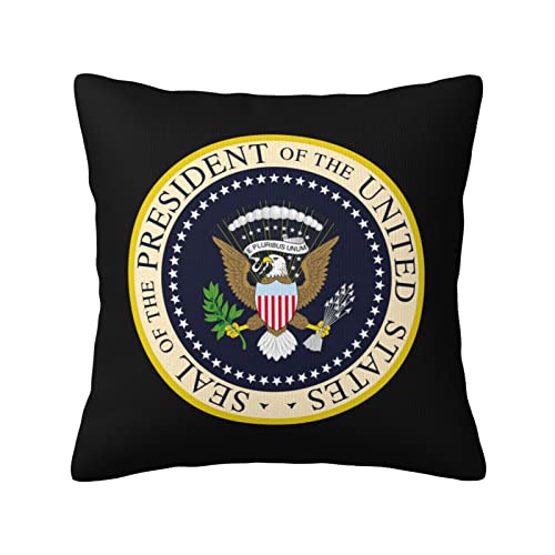 Almohada de Plush cuadrada 18 x 18 pulgadas
