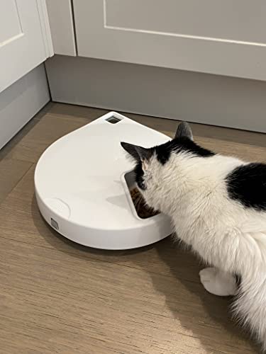 Closer Pets C500 Futterautomat mit Digitaltimer & Kühlakkus, Weiß