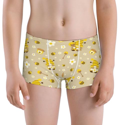 Boys' Cotton Boxer Brief Soft Underwear-Cute Bee Gnomes