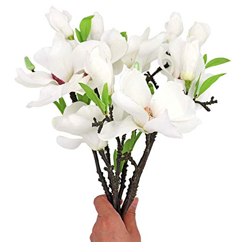 Dameing 6Pcs Artificial Magnolia Flower, Silk Fake Flowers With Stem Green Leaves, Real Touch White Magnolia Flowers For Floral Arrangements Wedding Table Centerpiece Home Decor #TOP2