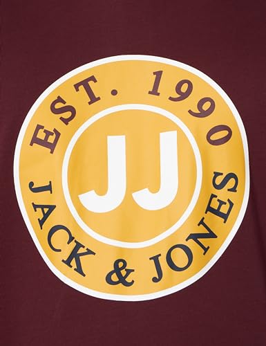 Sweat à capuche homme JACK & JONES idéal pour vos sorties décontractées