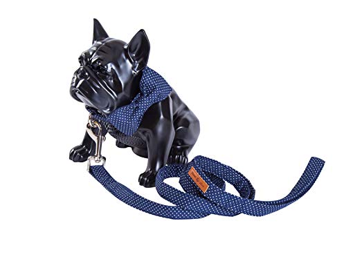 Lionet Paws Hundeleine Baumwolle Hund Leine für kleine mittelgroße große Hunde