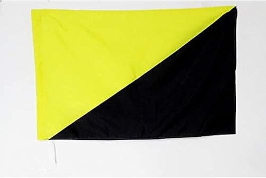 AZ FLAG Anarcho-Capitalism Flag 3 x 5 for a Pole - Anarchist Capitalist - Anarchism Flags 90 x 150 cm - Banner 3x5 ft with Hole
