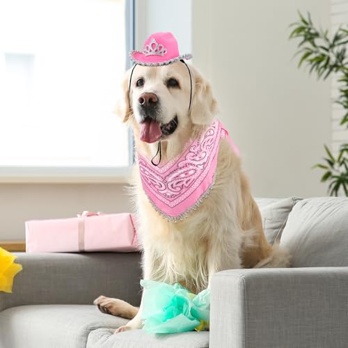 Disfraz de vaquero rosa para perro Sanwuta Halloween miniatura 5