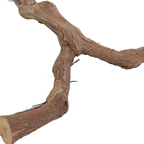 Bird Perch Nature Wood Stand for 3-4pcs Small Medium Parrots (2pcs Grape Perch) - Image 6