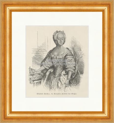 Gravure Elisabeth Christine Biller Antik pour décoration de cabinet de curiosités