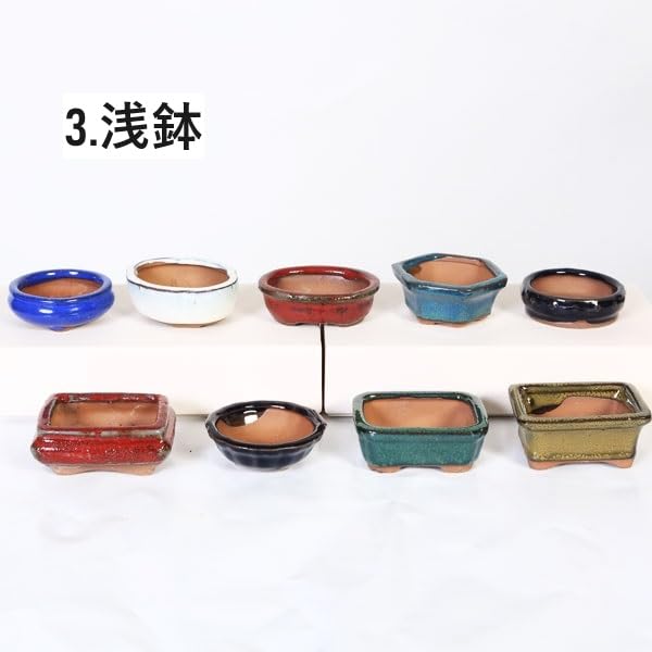 Amazon.co.jp: 鉢：中国小鉢10点セット 2.5号-A*資材 佐川急便 : DIY