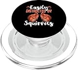 Squirrel Designs