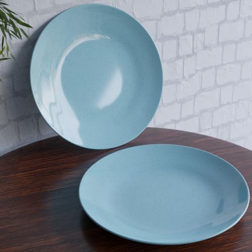 The Earth Store Handcrafted SkyBlue Marble 2 Piece -10 Inch Ceramic Dinner Plates Microwave & Dishwasher Safe Ceramic Plates for Dinner | Full Plates Set of 2 | Dinner Full Plates (B0CX5LN8VY) Amazon Price History, Amazon Price Tracker