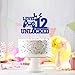Level 12 Unlocked Cake Topper, Boys 12th Birthday Décor, Official Preteen 12, Video Game Controller Happy 12th Birthday Party Decorations, Level Up Winner Decor