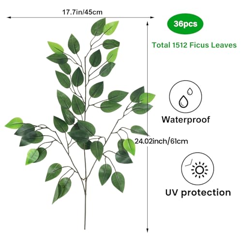 Comparativas de Ficus benjamina disponible en línea. 2 Imagen adicional