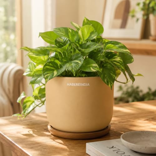 Image of Habere India-All the Cultures Fabricating India Plant Pot with Wooden Plate | Flower Pots for Dining Table & Home Decor | Terracotta Pot for Living Room Decoration (Beige, Dia11 x H10 cm)