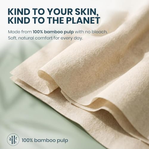 Image of Bamboo Facial Tissues 100 Pulls (Pack of 1, 2-Ply) | Unbleached Tissue Paper | Super Soft, Strong & Highly Absorbent | 100% Eco Friendly Tissue Napkins