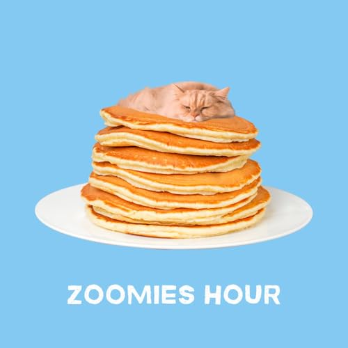 #041 ZOOMIES HOUR今年の抱負