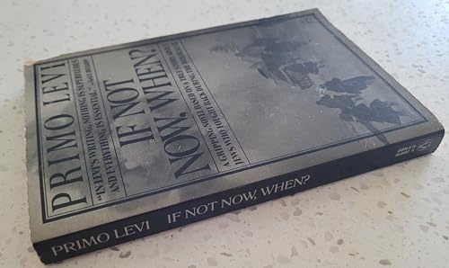 If Not Now, When? 0140084924 Book Cover