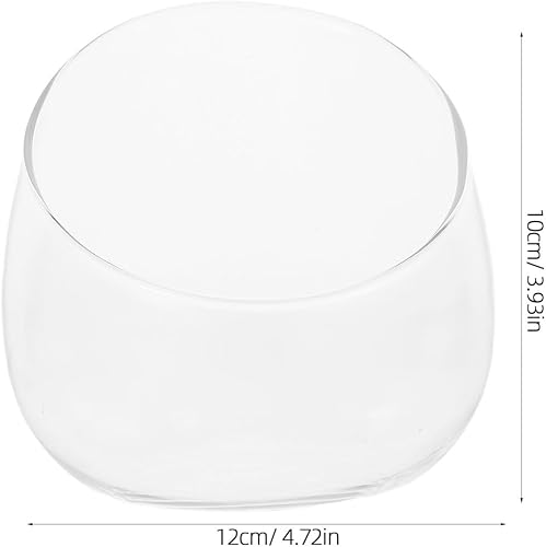 Miniatura 3 de Angoily Planta transparente de terrario de vidrio de corte inclinado, cuenco de burbujas para terrario para suculentas, maceta decorativa para