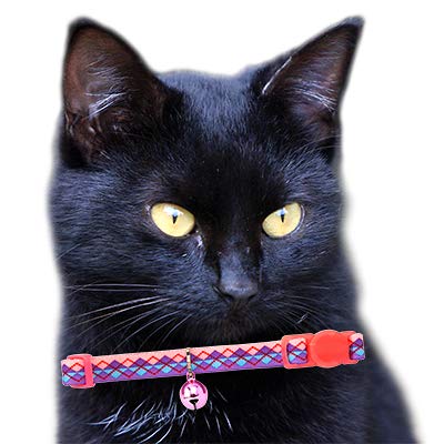 Amazon | ラロック 猫用首輪 アミコ アーガイル猫カラー 色:ピンク