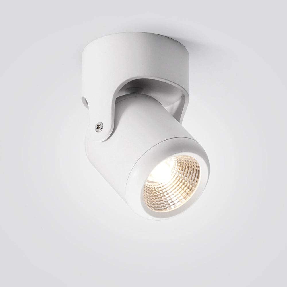 Spot led surface accent blanc chaud lumière réglable pour plafond et mur
