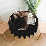 QAZWZML R&e Picknickdecke mit zwei Bären, bedruckt, 152,4 cm, dekorative Tischdecke, geeignet für Cafés & Partys