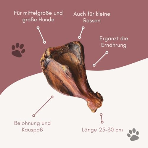 Entdecken Sie den natürlichen Genuss: Paddle-Bone - Schweineknochen für Ihren Hund!