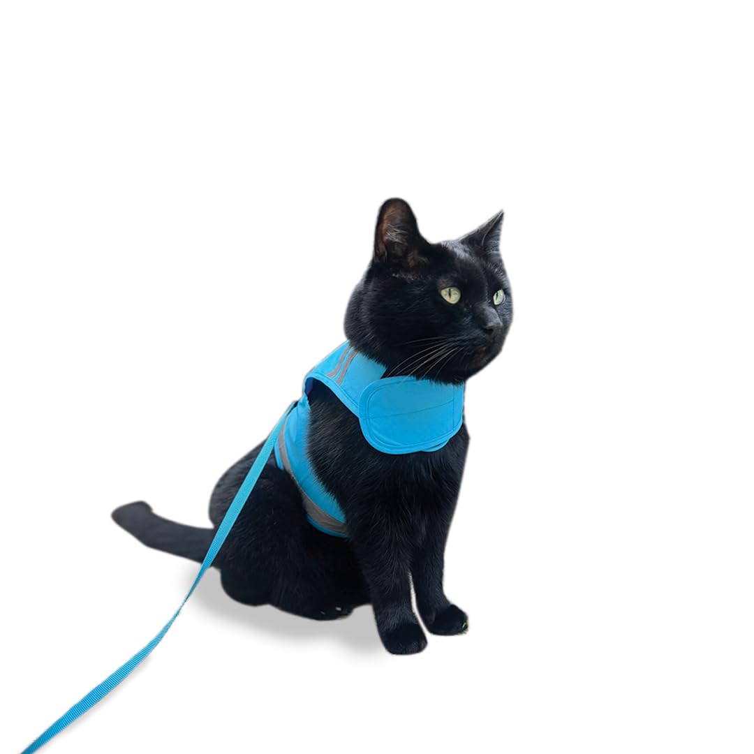CAT SCHOOL Set di pettorina e guinzaglio per gatti per passeggiate all'aperto, allenamento e viaggi, sicura, morbida e confortevole, con guinzaglio lungo 3 m, facile da usare con istruzioni