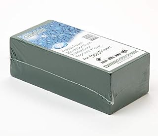 OASIS Floral Foam Brick