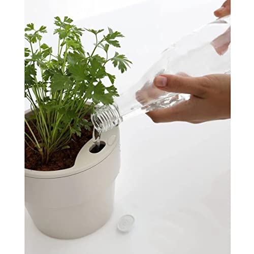 VASO G AUTOIRRIGAVEL