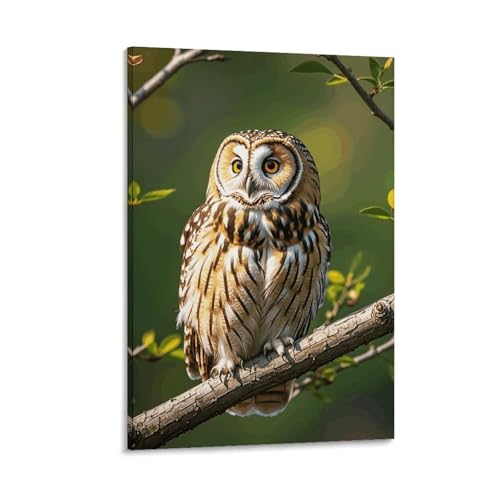Toile murale hibou 60 x 90 cm pour embellir vos murs vides