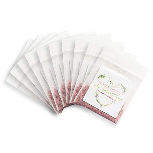 10 Pack Tillandsia Food for Air Plants, Tillandsia Fertilizer Powder, Air Plant Food